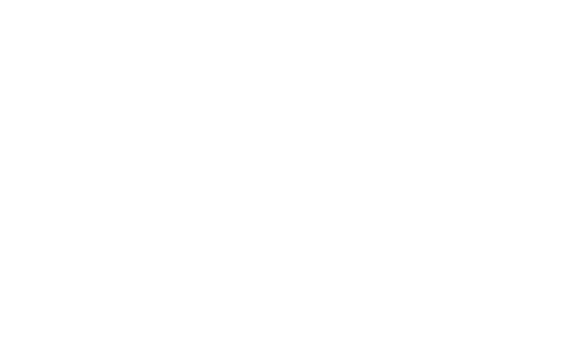 PRN_Logo_White_R