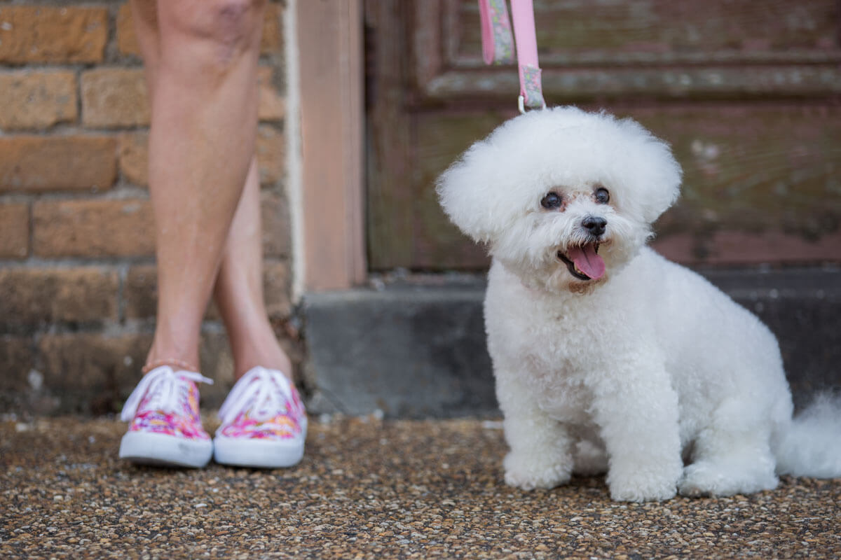 Are some walks better than others?